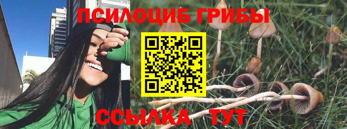 Ковров  Галлюциногенные грибы Cubensis  Вход с VPN 